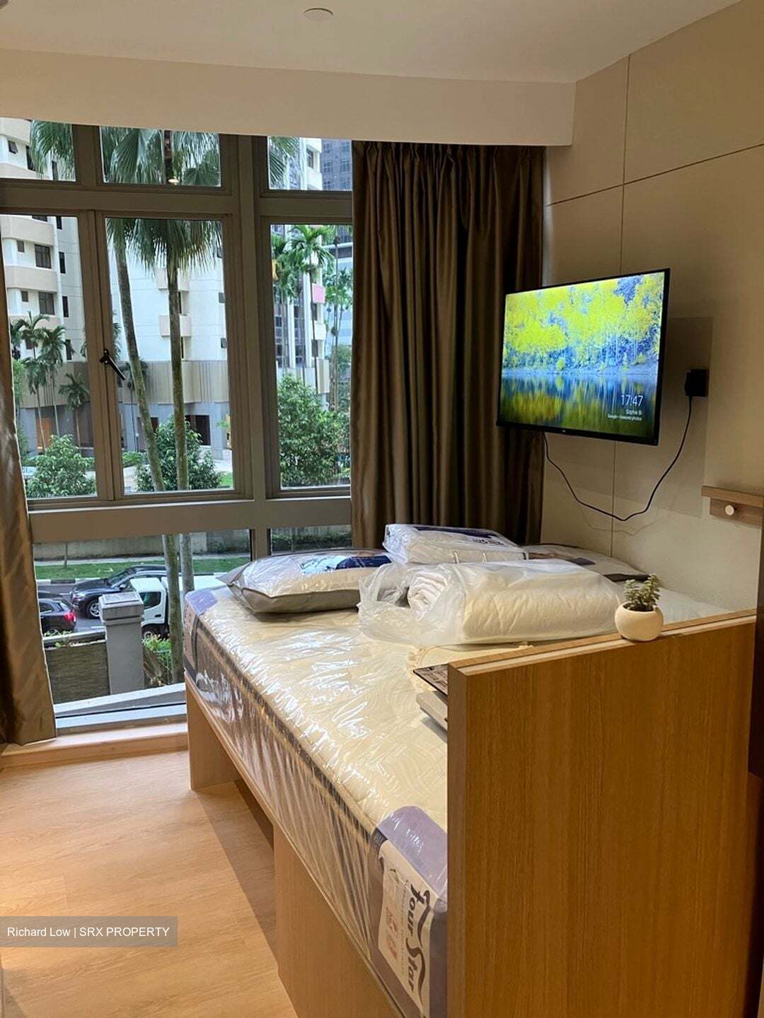 Mount Elizabeth Link (D9), Apartment #389295791